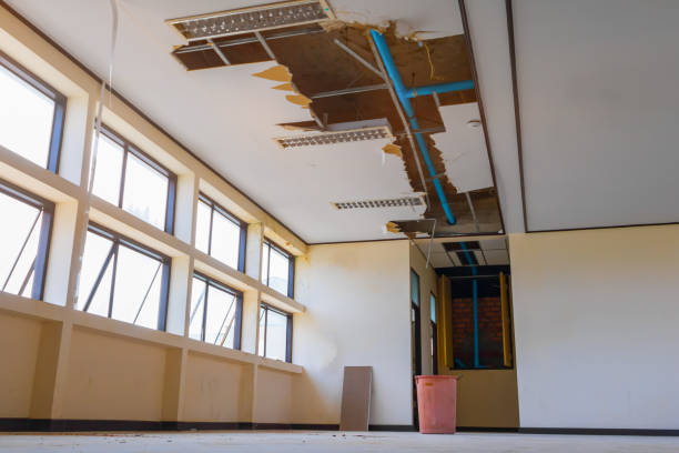 Best Flood damage cleanup  in Paisley, FL