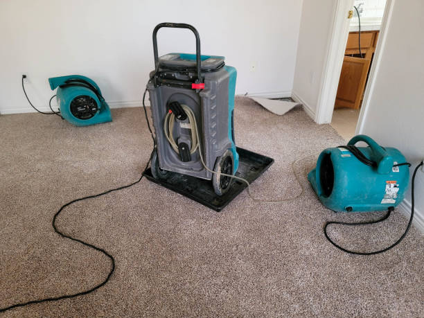 Best Emergency water damage restoration  in Paisley, FL