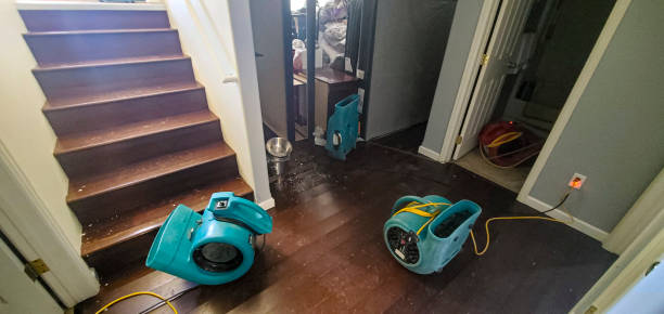 Best 24-hour water damage restoration  in Paisley, FL