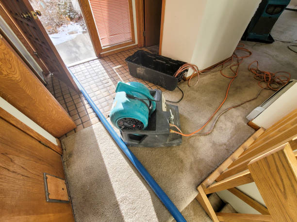 Best 24/7 water damage repair  in Paisley, FL