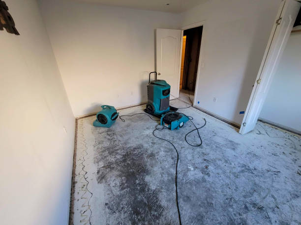 Best Ceiling water damage repair  in Paisley, FL