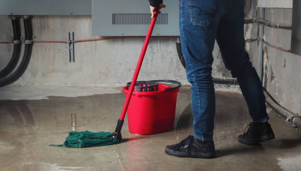 Best Water damage restoration process  in Paisley, FL