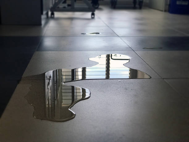 Best Commercial water damage restoration  in Paisley, FL