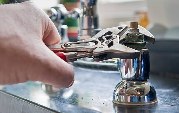 Best Flood restoration services  in Paisley, FL