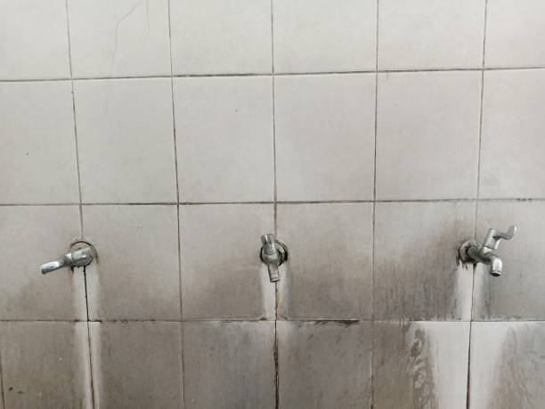Best Water damage mitigation services  in Paisley, FL