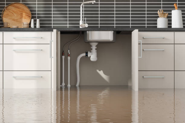Best Water damage restoration insurance claims  in Paisley, FL