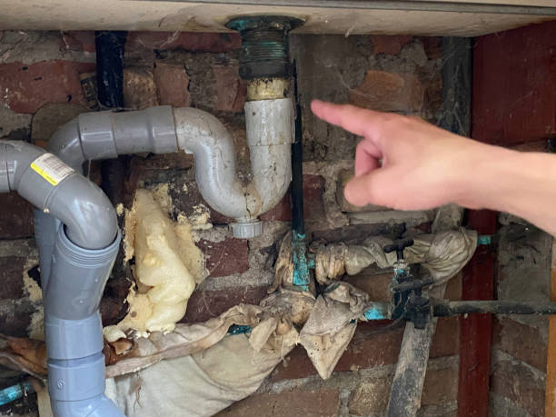  Paisley, FL Water damage restoration Pros