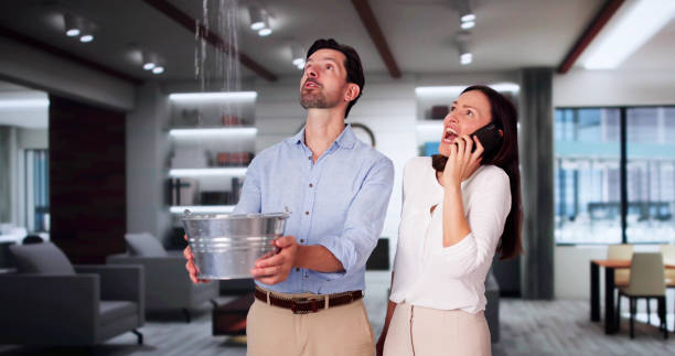 Best Local water damage restoration  in Paisley, FL