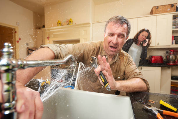 Best Water damage restoration near me  in Paisley, FL